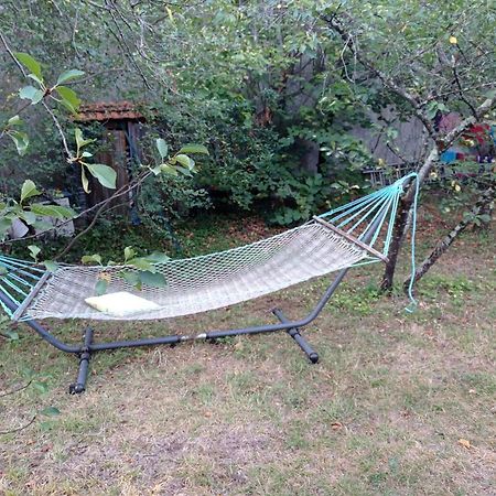 Appart Independant, 1 Lit Deux Personnes Et 1 Appoint Piscine Jardin Direct Gare Aeroport Et Jardin Toulouse Exteriör bild